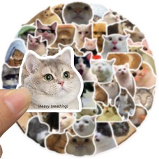  Anvianthor Cat Emoji Stickers, 50 pcs - Fun, Expressive Stickers for Kids, Teens, and Cat Lovers